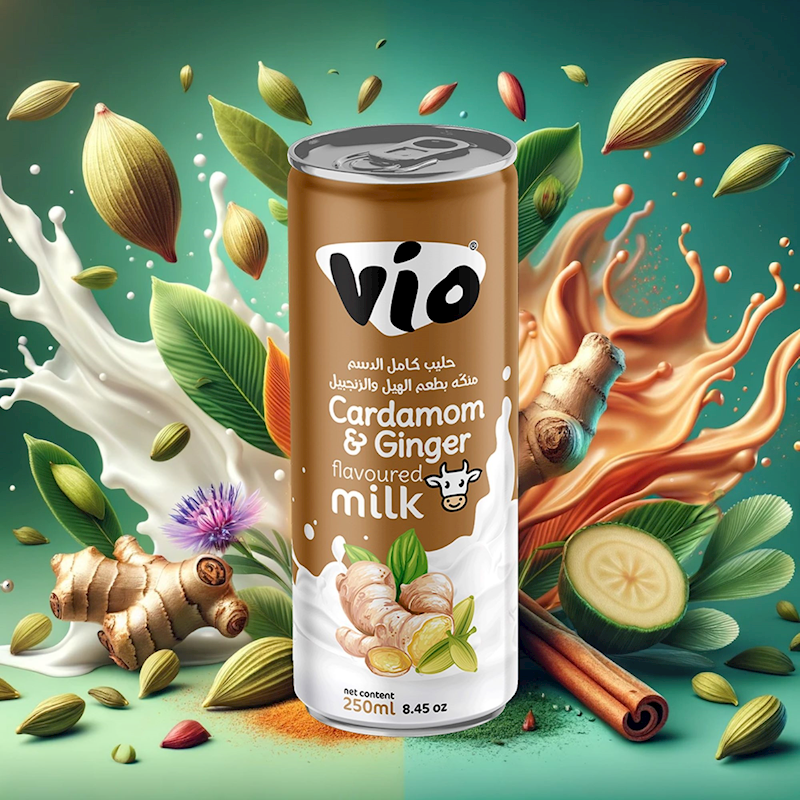 Picture of  VIO DRINK FLAVORED MILK  GINGER CARDAMOM 250ML- 24/CASE