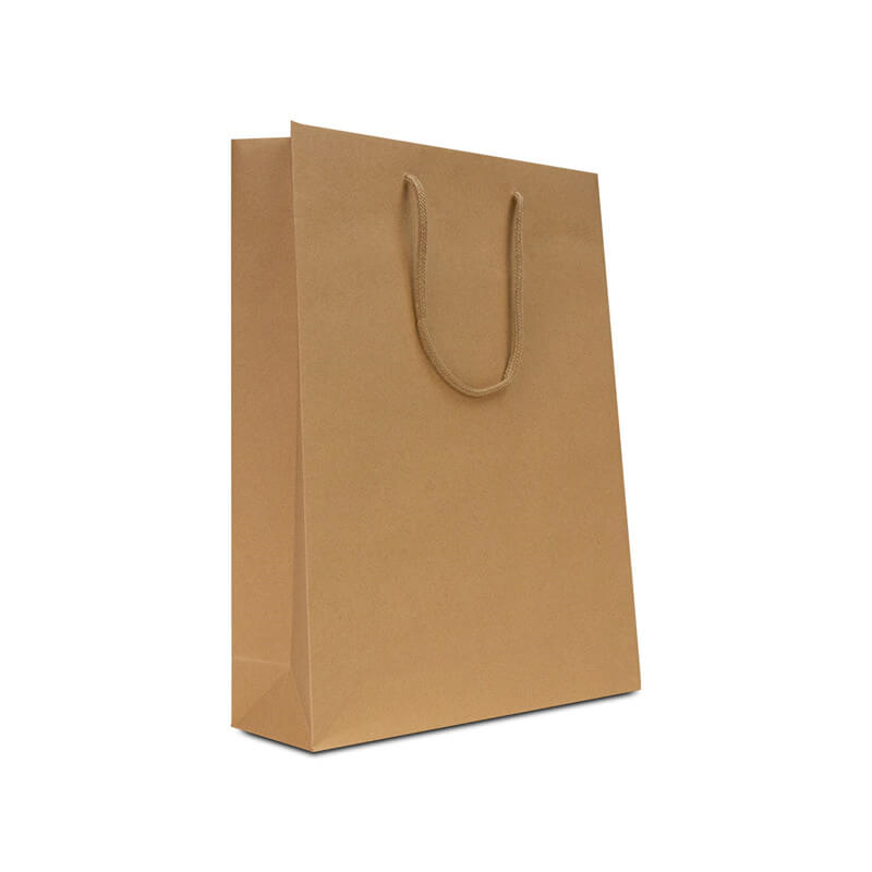 Picture of  KRAFT ROPE HANDLE BAG 250/CASE   13 X 7 X 17
